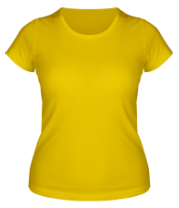 Купить футболку женскую ОМОН (спина)