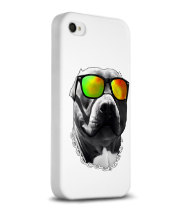 Чехол для iPhone 4/4s Пёс в очках